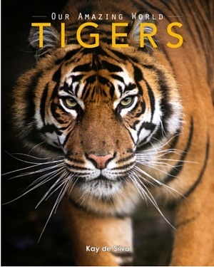 Tigers: Amazing Pictures & Fun Facts on Animals in Nature