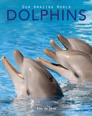 Dolphins: Amazing Pictures & Fun Facts on Animals in Nature