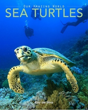 Sea Turtles: Amazing Pictures & Fun Facts on Animals in Nature
