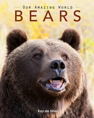 Bears: Amazing Pictures & Fun Facts on Animals in Nature