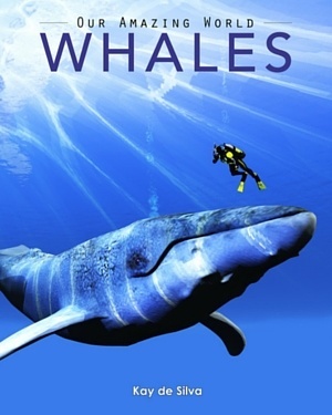 Whales: Amazing Pictures & Fun Facts on Animals in Nature